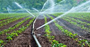 Irrigation Image