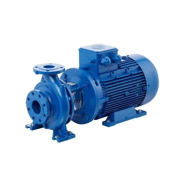 Centrifugal Pumps & Motors