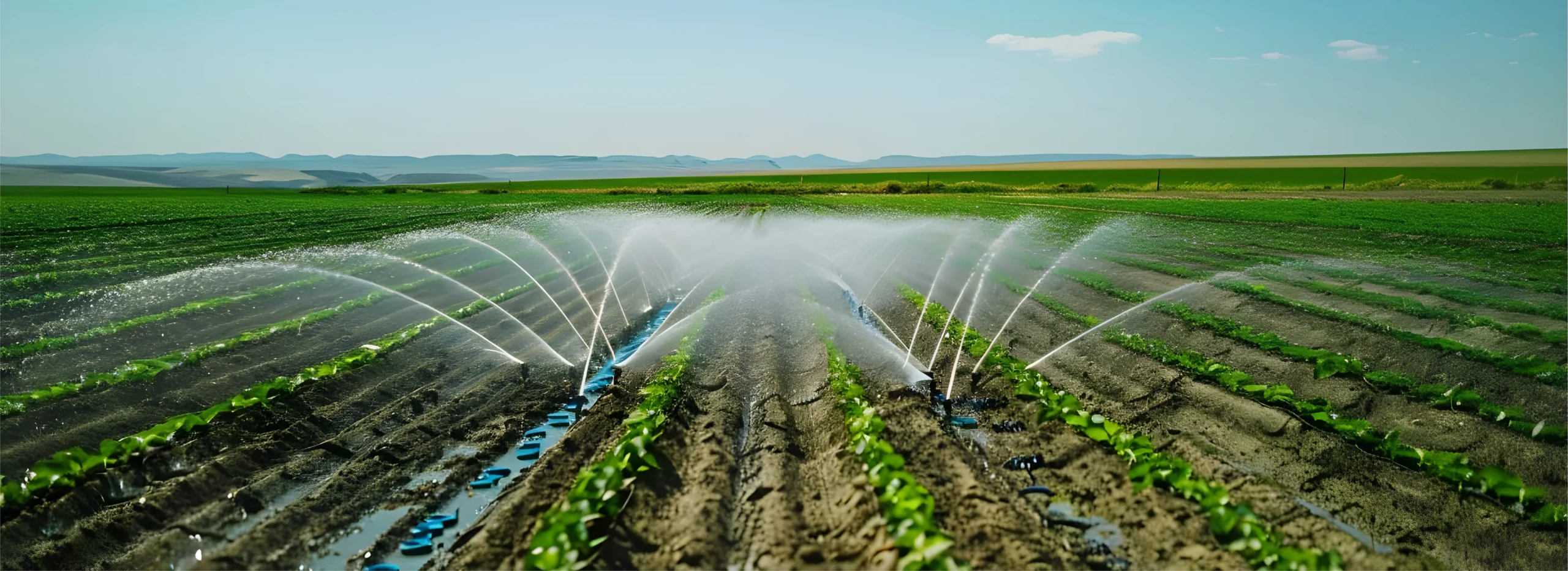 agricultural irrigation (1)